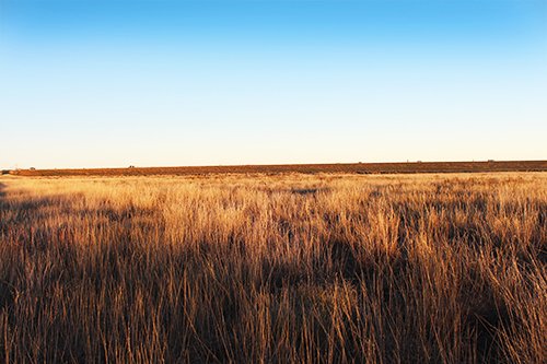 TRACT 1 - REAL ESTATE & MINERAL AUCTION - 640+/- ACRES & PRODUCING MINERALS OFFERED IN 8 TRACTS IN MORTON COUNTY, KANSAS